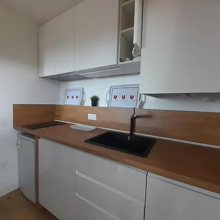 Apartmán Renove Avec Balcon A Deux Pas Des Plages D'anglet - Fr-1-239-1076 *