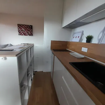 Apartmán Renove Avec Balcon A Deux Pas Des Plages D'anglet - Fr-1-239-1076